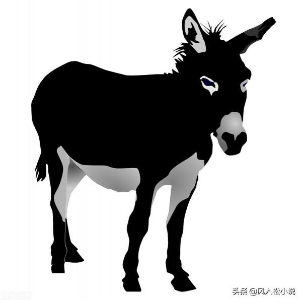 騎上毛驢上路,免得黃泉路遠,路途艱辛 騎上毛驢上路,免得黃泉路遠,路途艱辛