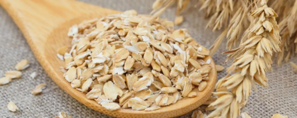 減肥期間吃什麼作為主食好 減肥期間吃什麼作為主食好