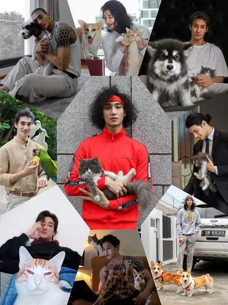 全球百大帥哥排行榜出爐，緬甸帥哥奪冠！他昨天才被判3年監禁