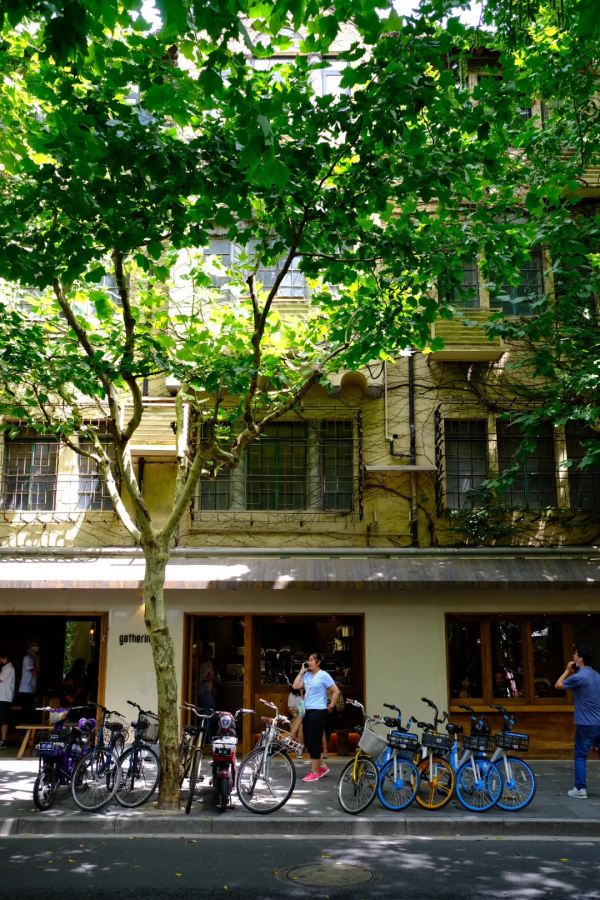 全中國最內卷的馬路,在上海 全中國最內卷的馬路,在上海