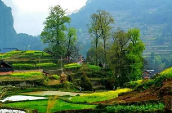 貴州有多貴？不止她的山和水，還有那份濃濃的民族情懷