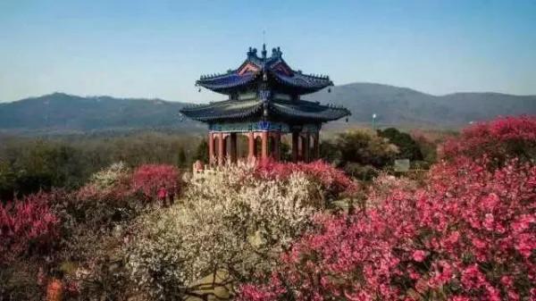 南京紫金山隱藏的小秘密 南京紫金山隱藏的小秘密