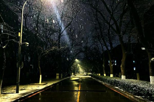 「散文」初冬好美,你好溫柔 「散文」初冬好美,你好溫柔