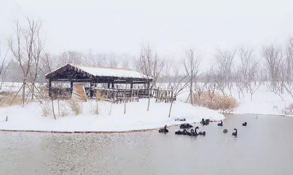 詩情畫意三臺山,美了季節,醉了歲月! 詩情畫意三臺山,美了季節,醉了歲月!
