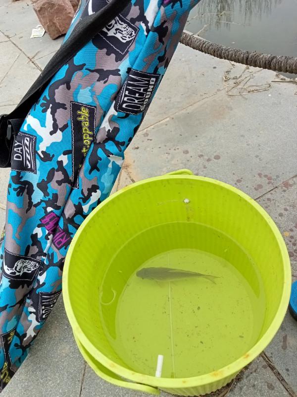 寒流大風也沒阻擋釣魚人的腳步，依然前行……