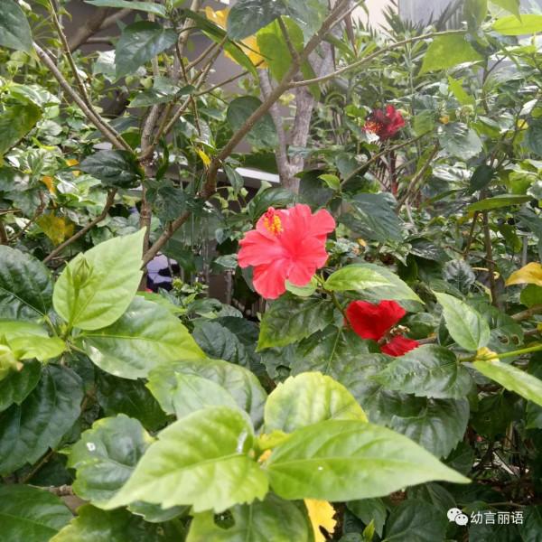 巴厘島旅遊之聽導遊講巴厘島 巴厘島旅遊之聽導遊講巴厘島