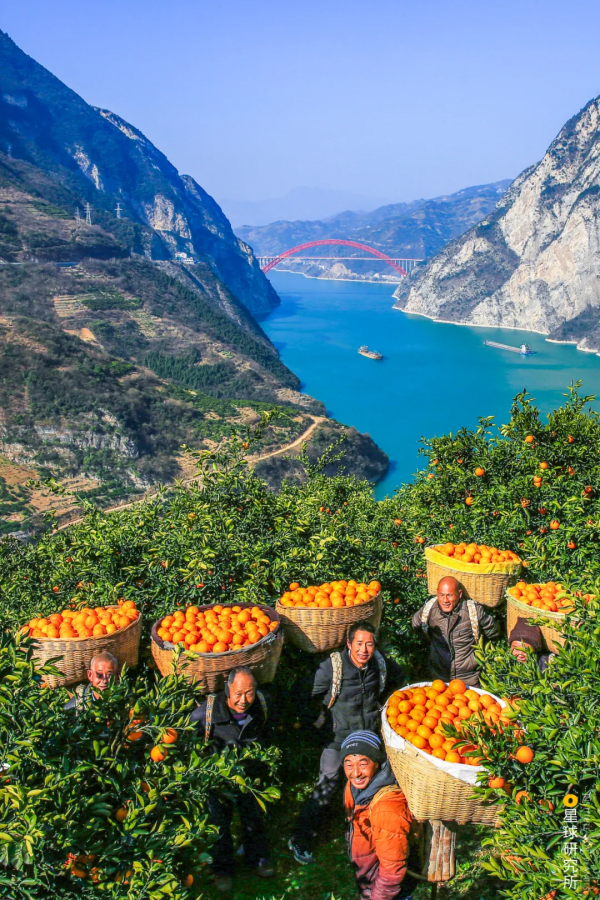 來了！中國賞秋地圖