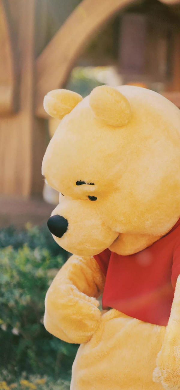 浪漫夢幻的冬日迪士尼攝影桌布，這也太治癒了