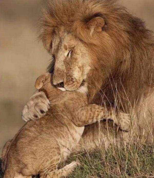 它們活成了我們想要的樣子