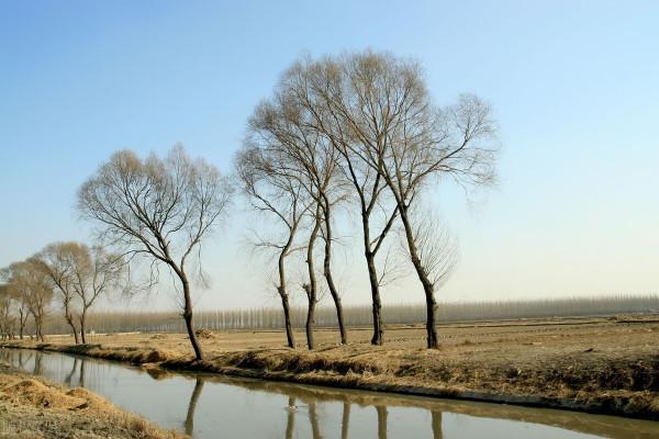 (真實鄉土故事)賭徒“餘六指” (真實鄉土故事)賭徒“餘六指”