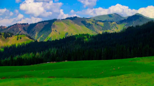 可以靠顏值，偏要靠實力！中旅新疆交出“旅遊興疆”成績單