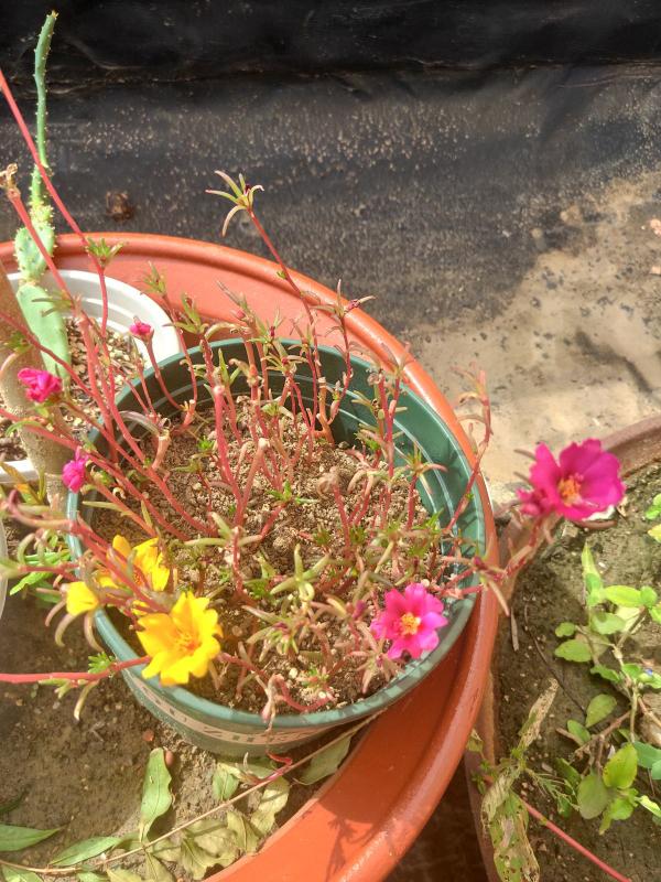 老師佈置了1份作業，導致我和孩子冷戰三天，到底是誰錯了