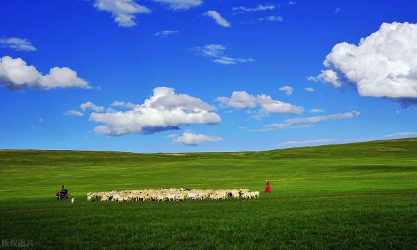 圖片分享一一乎倫貝爾大草原美景