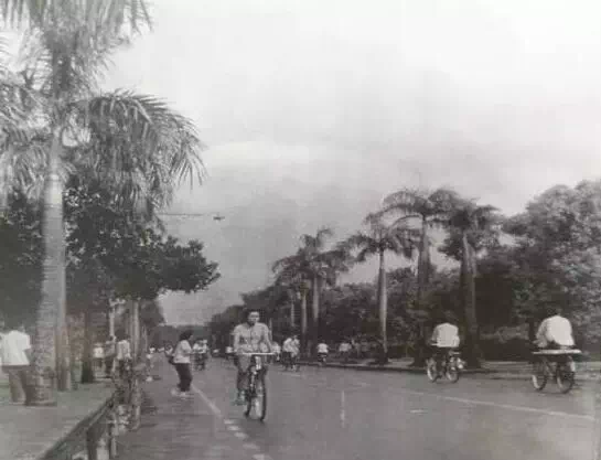 2019年開豪車的富二代在加拿大被綁，意外引出身家顯赫的道長父親