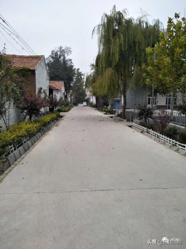 馬姓探源六十年