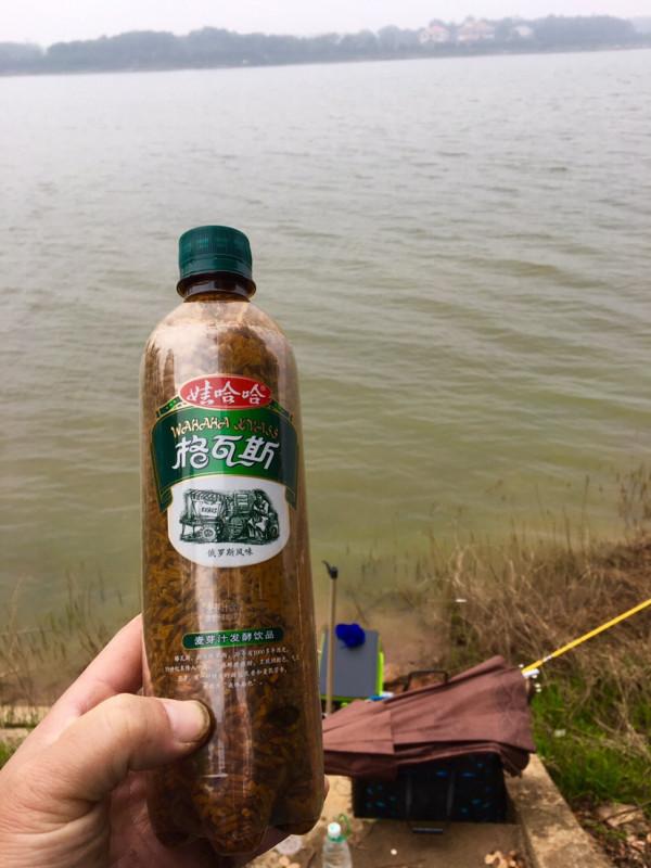 信念如熾,斜風細雨鏖戰團頭湖,周大師分析冬季釣魚技巧 信念如熾,斜風細雨鏖戰團頭湖,周大師分析冬季釣魚技巧