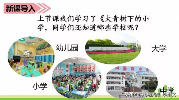 趕緊替孩子儲存，複習一定用得上，三上《花的學校》知識點梳理