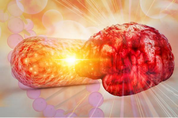 功能性腸病多困擾，如何利用菌群來治療？