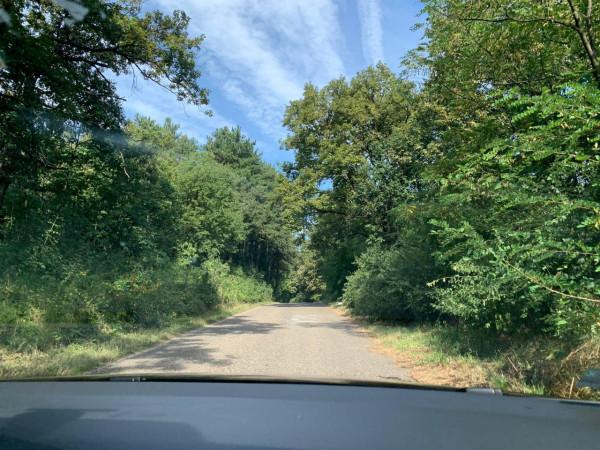 2019暑假塞爾維亞、波黑之旅（3）