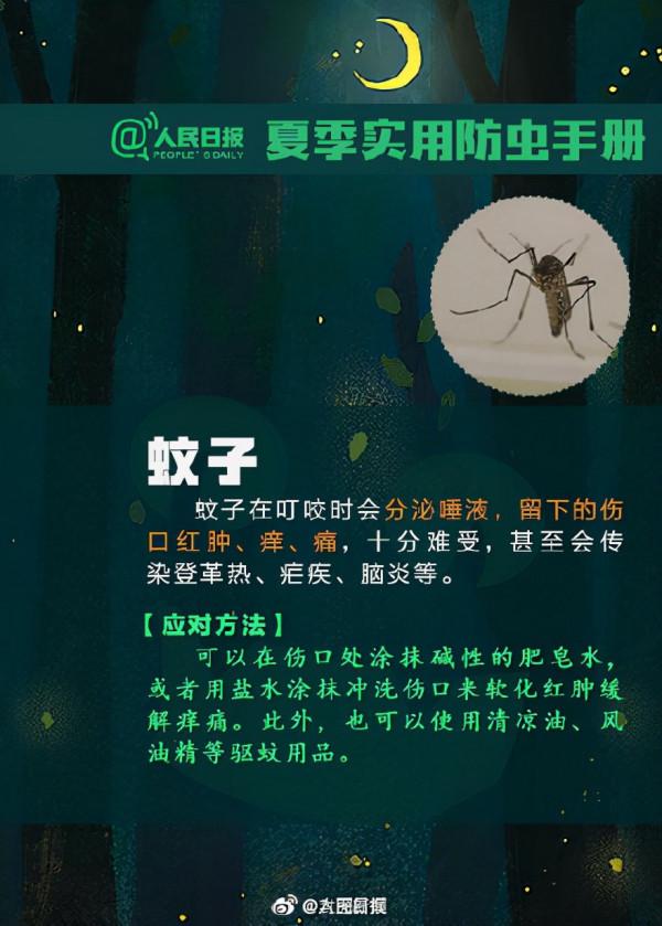 蚊子、蟎蟲、隱翅蟲……最全防蟲手冊+急救法