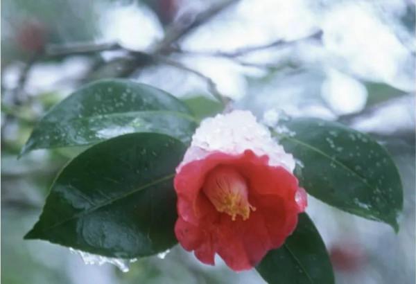 一一一：隨筆冬至