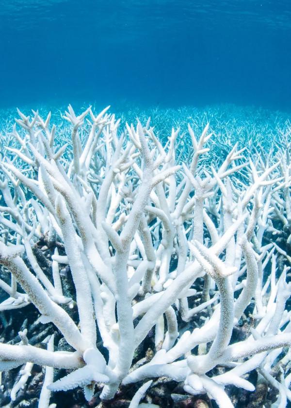 中國:萬島之國! 中國:萬島之國!