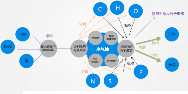 “淨氣神”微生態系統迴圈治理原理及產品介紹