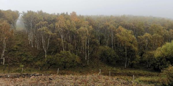 柳樹溝，碰上了下雨，灰濛濛的景色