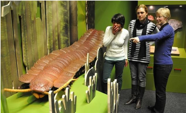 盤點地球各時期的生物霸主——（一）古生代