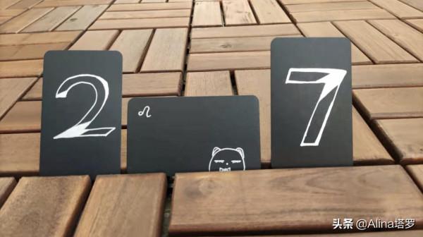 Alina塔羅——我擁有怎樣的動物祝福? Alina塔羅——我擁有怎樣的動物祝福?