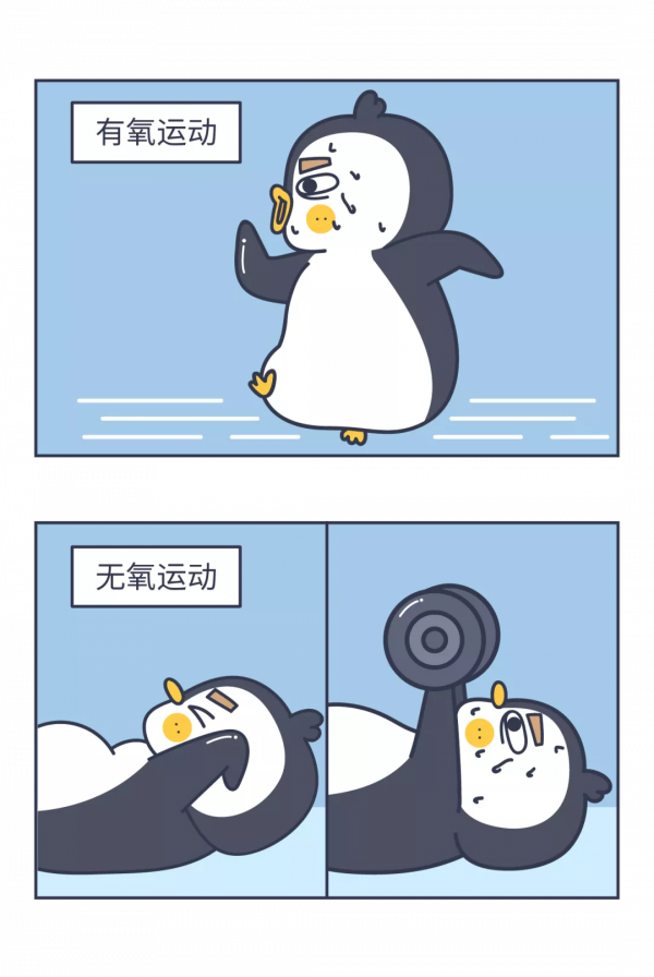 「未來醫生」想要減肚子?別再做仰臥起坐,真正該做的是這兩點 「未來醫生」想要減肚子?別再做仰臥起坐,真正該做的是這兩點