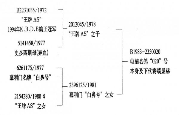 兩全其美的育種模式—雜交·近交與交叉育種法