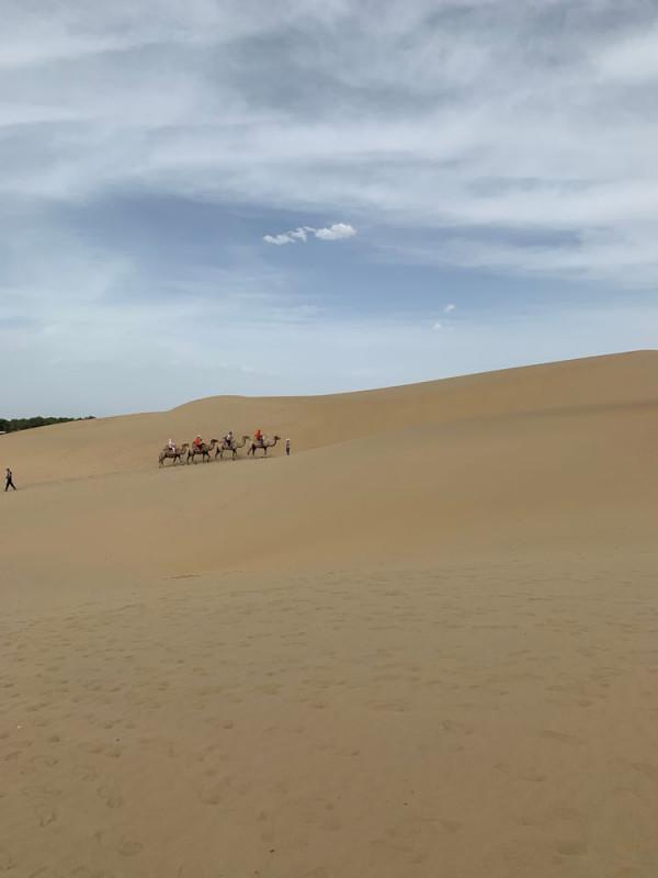 大美新疆（十）羅布人村