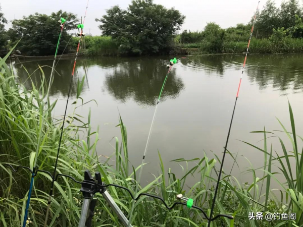 冬季的懶人釣法,筏竿串鉤掛蚯蚓遠投,鯽魚躲進深水也怕 冬季的懶人釣法,筏竿串鉤掛蚯蚓遠投,鯽魚躲進深水也怕