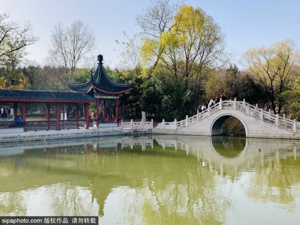 準備打卡！北京這些地方已經美成畫！最新彩葉實拍→