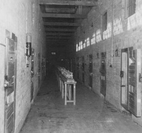 42年警衛開槍自盡，楊奇清下令抓捕其未婚妻，牽出刺殺彭德懷陰謀