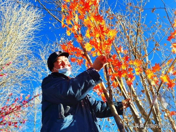甘肅民樂：城北民俗村變身市民休閒“打卡地”