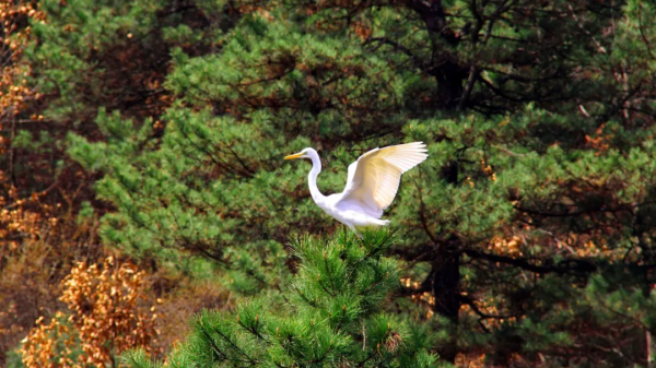 如果你的朋友來過陝北這個地方,趕緊珍惜他吧 如果你的朋友來過陝北這個地方,趕緊珍惜他吧