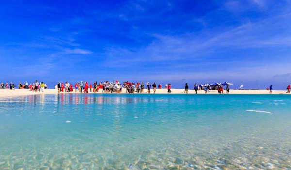 為何在西沙東島上，發現上百頭野牛？周邊都是海，它們從何而來？