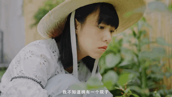 2000塊租下200平小院！27歲女孩獨居大理6年：做自己真的太好了