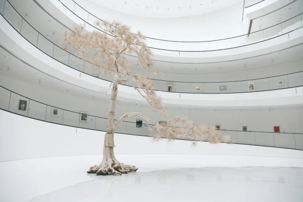 16位超級富豪和他們的美術館