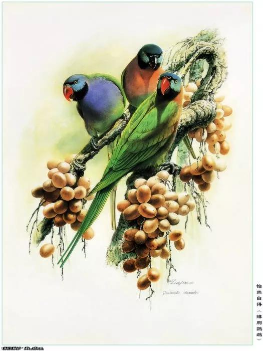 中國動植物畫第一人，曾孝濂極品工筆畫