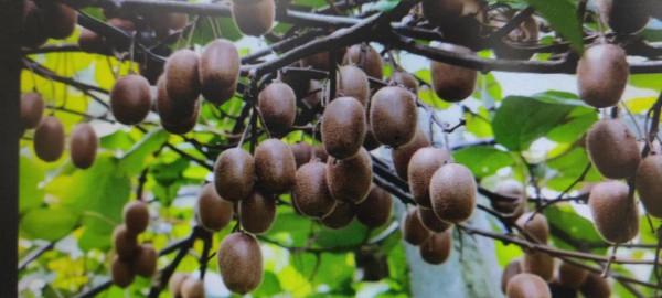 好東西要分享 好東西要分享