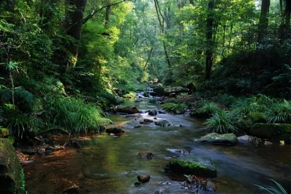 傍晚的贛州古浮橋，是我今年看過最美的畫面