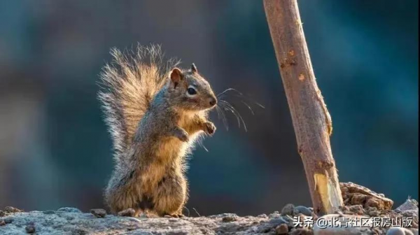 週末去哪玩？這兩條市級旅遊推介線路請查收，帶你領略房山的萬種風情