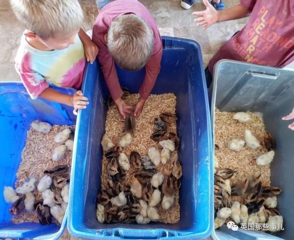 12年生12個娃！他們想成為電影裡的大家庭，每天生活太熱鬧了