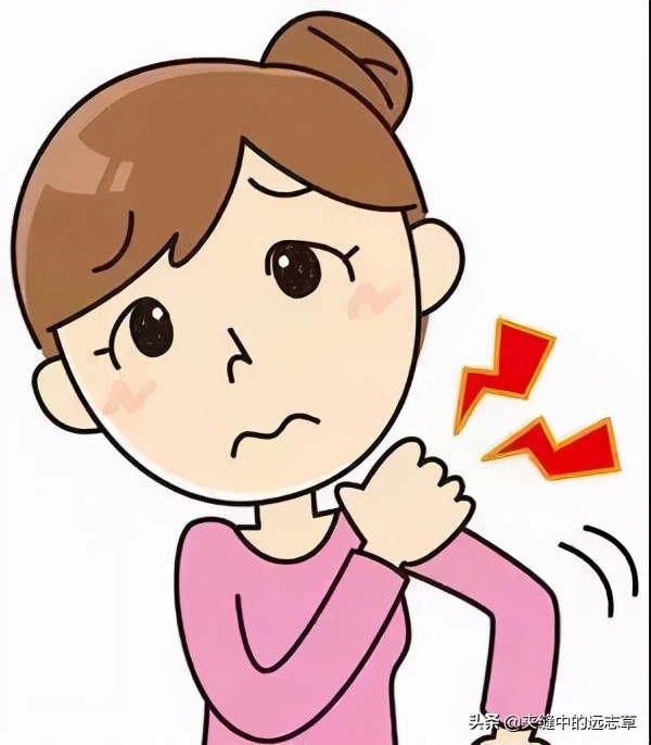 高血壓，頸椎病，糖尿病？一味葛根，全在射程範圍內，還能解酒