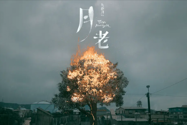 九把刀10年後推出新作《月老》，小說版與電影版有何不同？