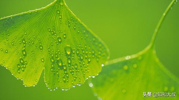 這四種“熟人”,不會對你好,最喜歡見不得你好 這四種“熟人”,不會對你好,最喜歡見不得你好