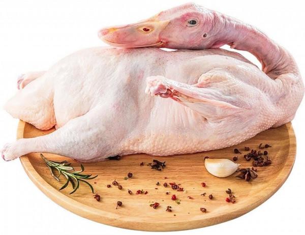 秋天給孩子吃什麼好,這3種食材別錯過,潤燥養胃強身健腦好處多 秋天給孩子吃什麼好,這3種食材別錯過,潤燥養胃強身健腦好處多